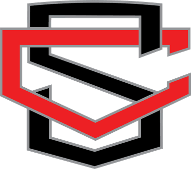 Team logo 2